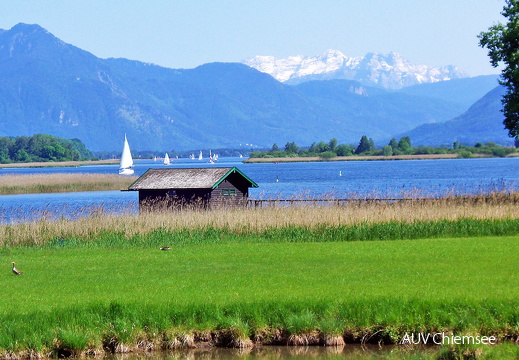 Der Chiemsee